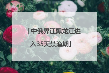 中俄界江黑龙江进入35天禁渔期